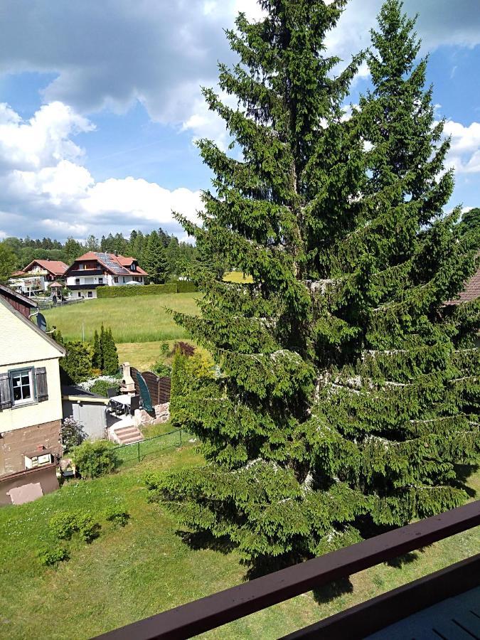 Ferienwohnung Rita Freudenstadt Ngoại thất bức ảnh